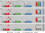 Identifying Gene Networks Underlying the Neurobiology of Ethanol and Alcoholism